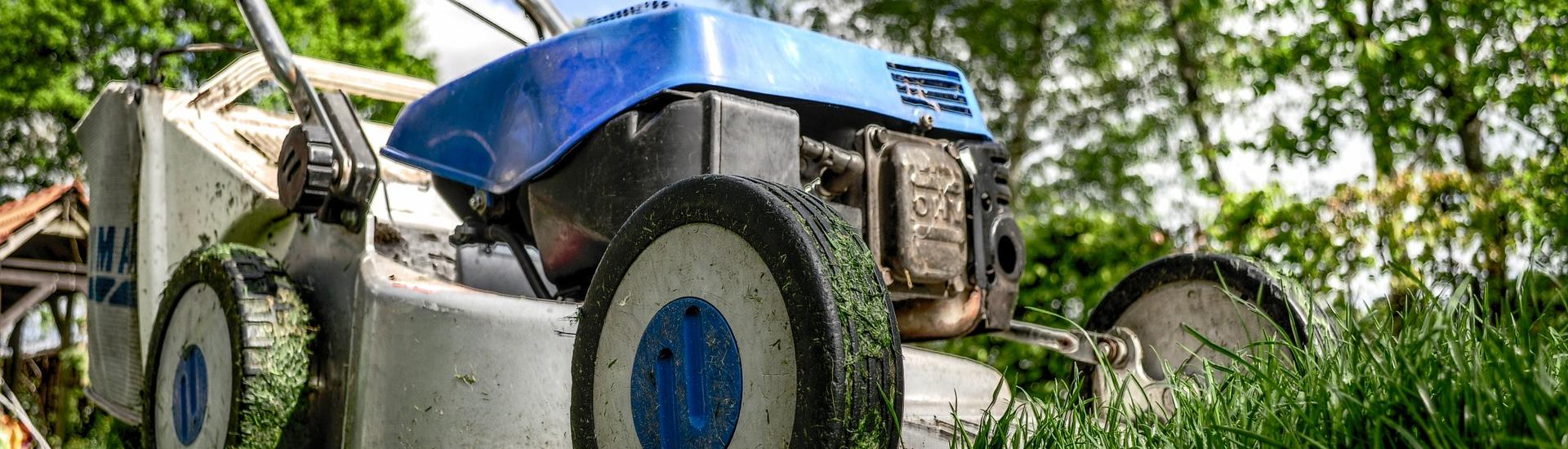 Entretien parcs et jardins